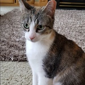 Meet your Posher, Ashlyn